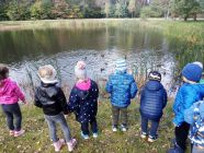 IMG_20201019_110106