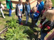 IMG_1211-pp4lask