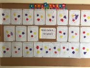 6-pp4lask