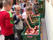 IMG_2952-pp4lask