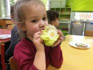 IMG_3220-pp4lask