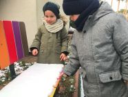 IMG_1179-pp4lask