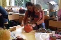20241031_101938-pp4lask