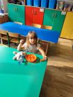 1000056102-pp4lask