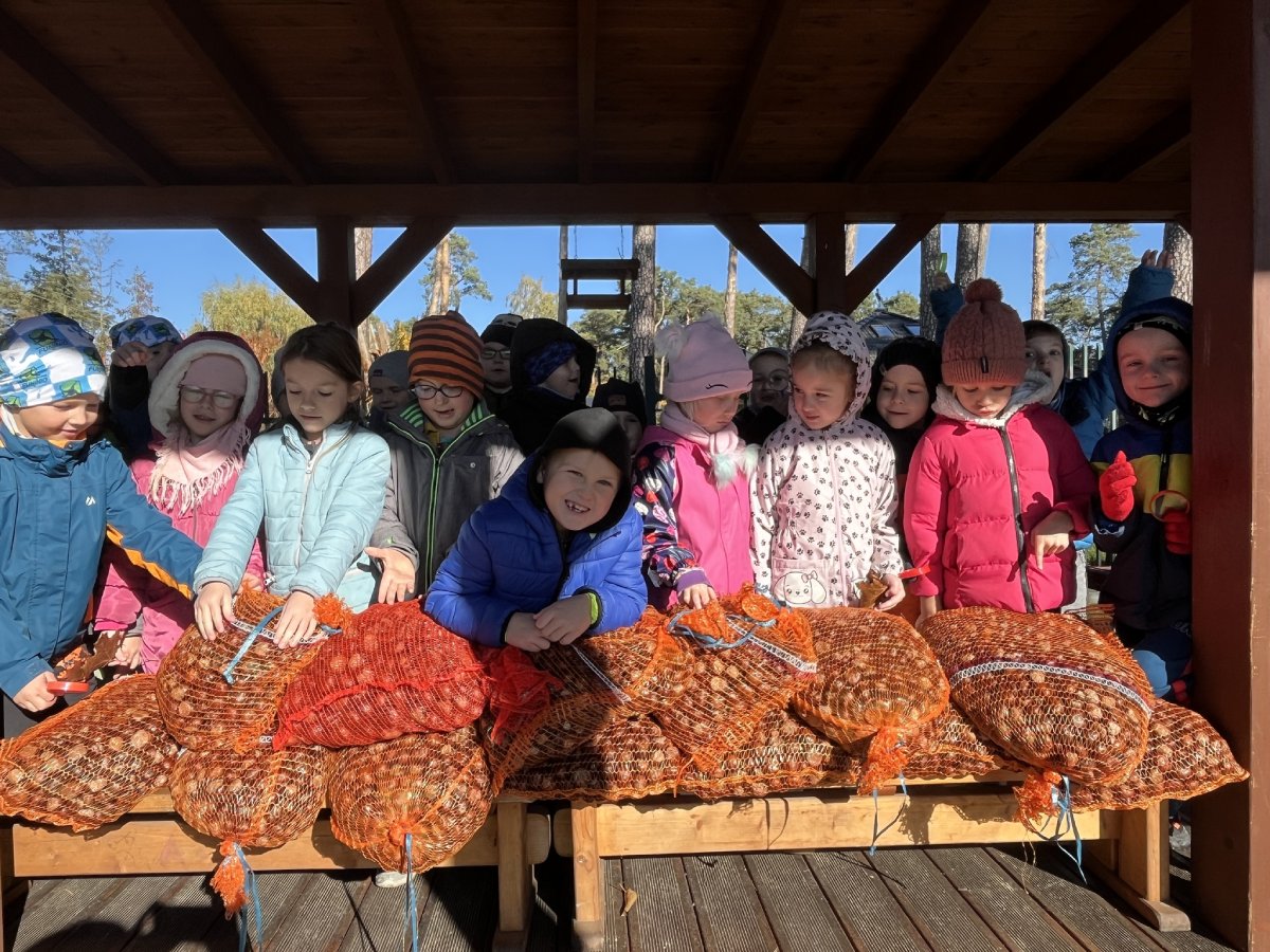 ZBIORKA KASZTANOW 4 pp4lask