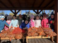 ZBIORKA_KASZTANOW__4-pp4lask