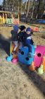 20260309_103501-pp4lask